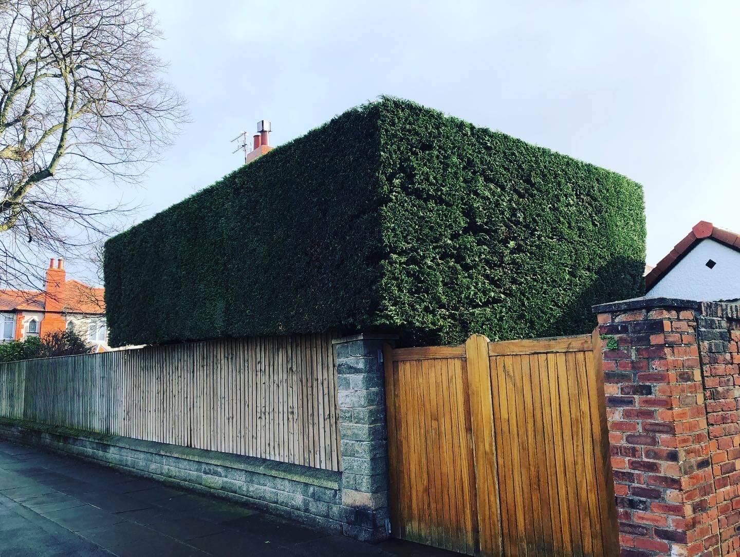 Hedging services